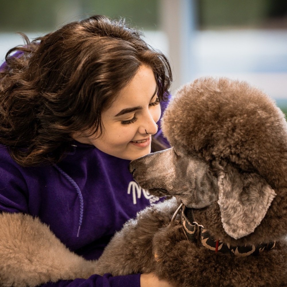 Meet your Posher, Leila